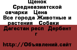 Щенок Среднеазиатской овчарки › Цена ­ 35 000 - Все города Животные и растения » Собаки   . Дагестан респ.,Дербент г.